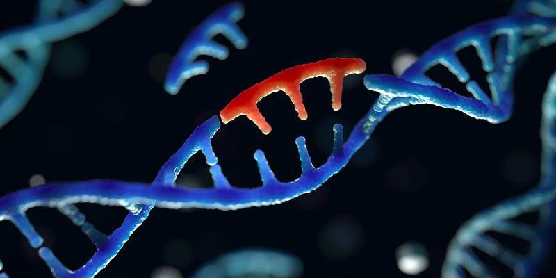 Có thể có nhiều thành viên trong một gia đình cùng mắc bệnh ung thư gan