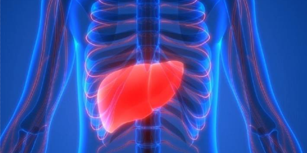 Ung thư gan được phân loại thành hai loại chính: Ung thư tế bào gan nguyên phát và ung thư tế bào gan thứ phát, dựa trên vị trí khởi phát.