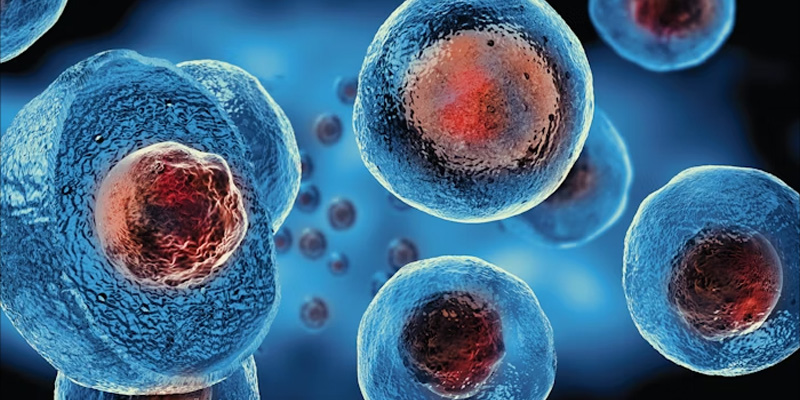 Ung thư gan giai đoạn đầu có chữa được không khi đây là căn bệnh có tỷ lệ tử vong cao.