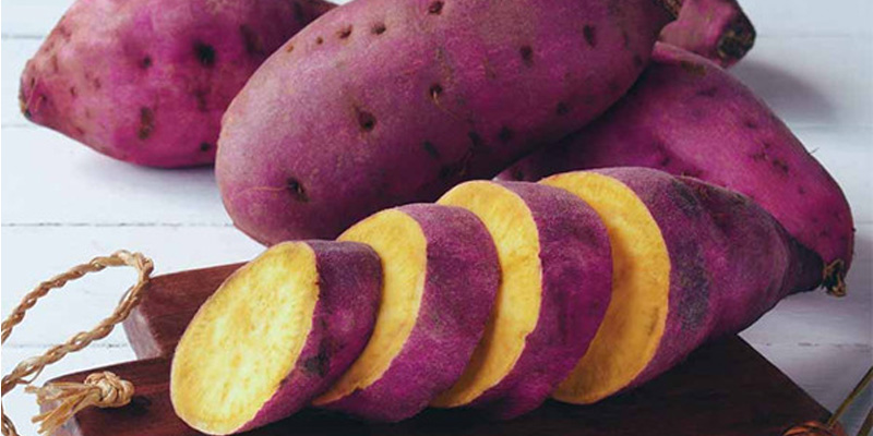 Khoai lang giúp nâng cao hệ miễn dịch và hỗ trợ ngăn ngừa tế bào ung thư