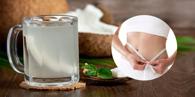 Nước dừa giúp tăng cường trao đổi chất của cơ thể và hỗ trợ giảm cân