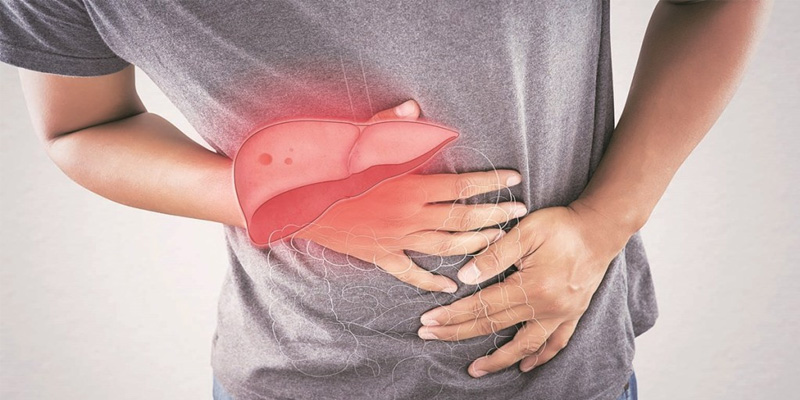 Có nên uống nước lá vối chữa bệnh gan nhiễm mỡ không là thắc mắc của nhiều người