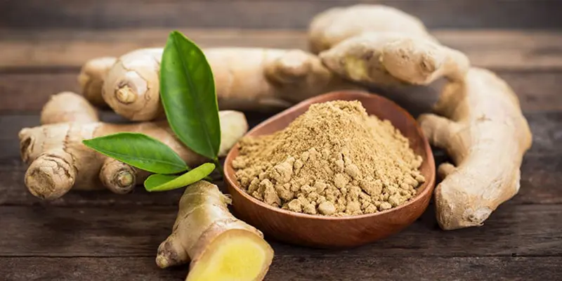 Vậy ăn gừng có tốt cho gan không