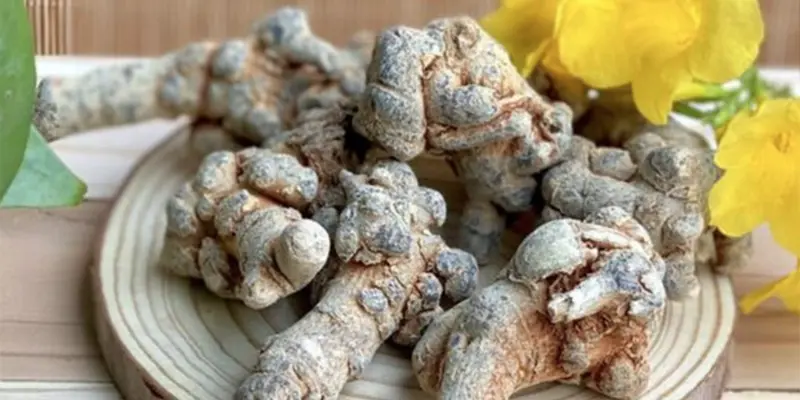 Tam thất có rất nhiều tác dụng tốt như bổ máu, bổ não, bổ gan, tăng cường miễn dịch