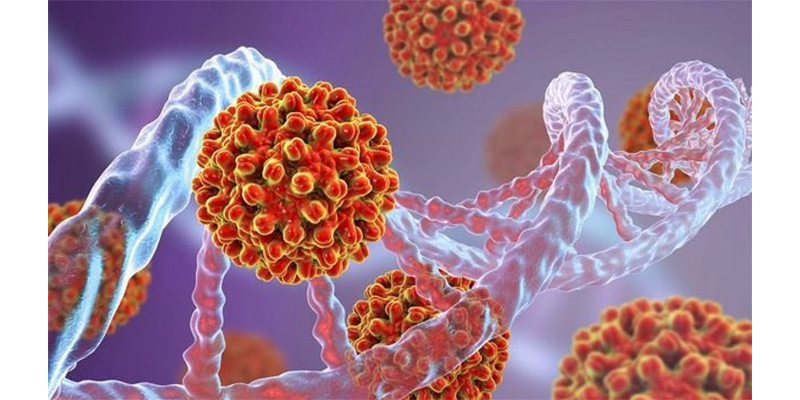 Virus HBV là nguyên nhân gây ra viêm gan B
