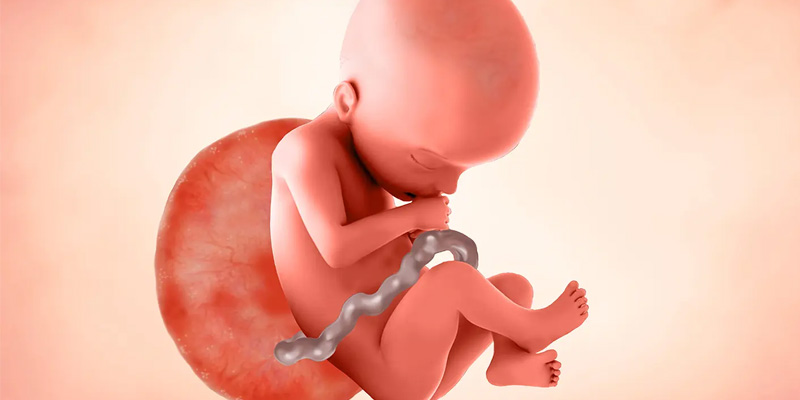 Viêm gan B mạn tính có lây không là câu hỏi nhiều người thắc mắc