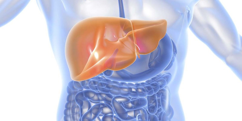 Viêm gan B mạn tính là tình trạng mắc bệnh kéo dài trên sáu tháng