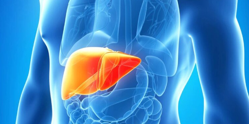 Viêm gan B mạn tính là một bệnh lý về gan hết sức nguy hiểm và dễ gây những biến chứng cho người bệnh