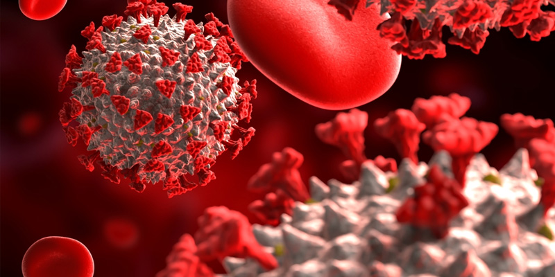 Viêm gan B thể tĩnh