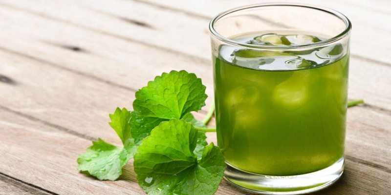 Những lưu ý quan trọng khi uống nước rau má để tránh ảnh hưởng đến sức khỏe