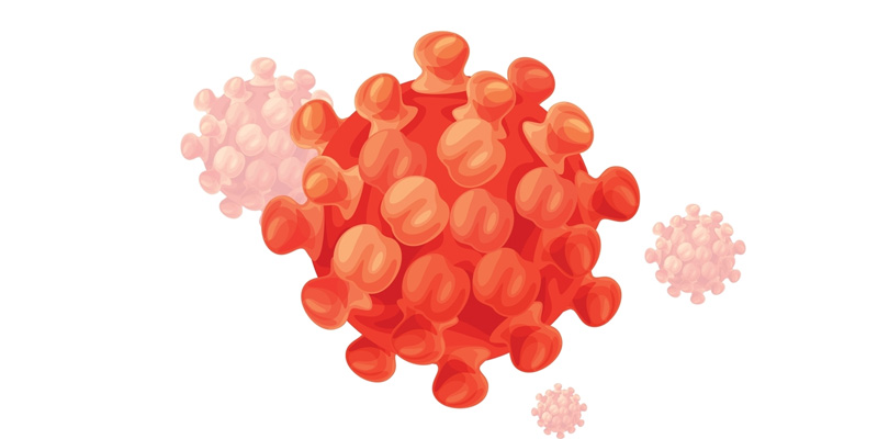 Virus viêm gan B