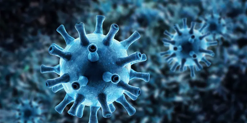 Viêm gan C là một bệnh truyền nhiễm do virus Hepatitis C (HCV) gây ra