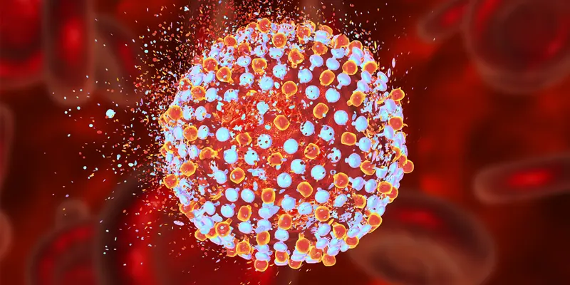 Viêm gan C gây ra bởi virus HCV