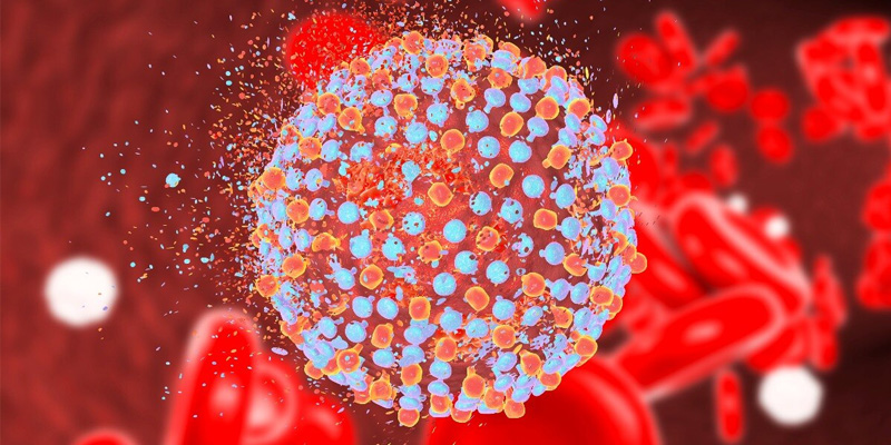 Câu hỏi được nhiều người thắc mắc là viêm gan E có lây qua đường máu không