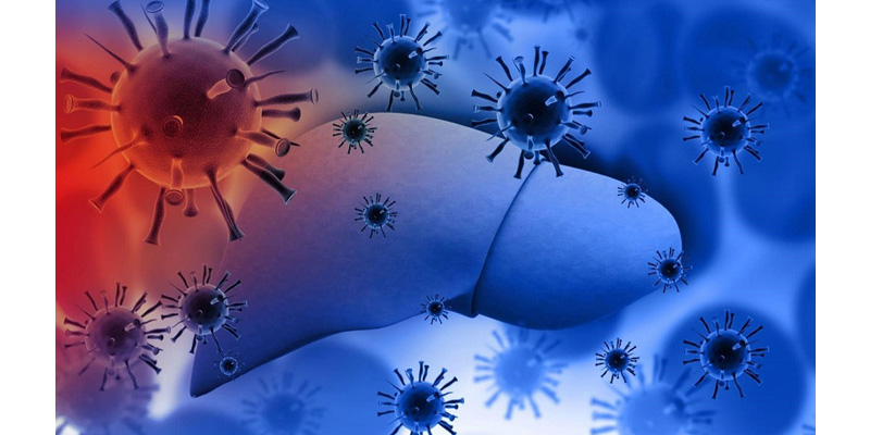 Bệnh viêm gan E có thể gây suy gan, nguy hiểm cho tính mạng bệnh nhân