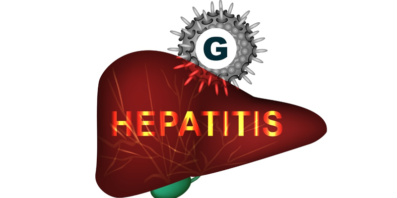 HGV là một trong những virus viêm gan ở người