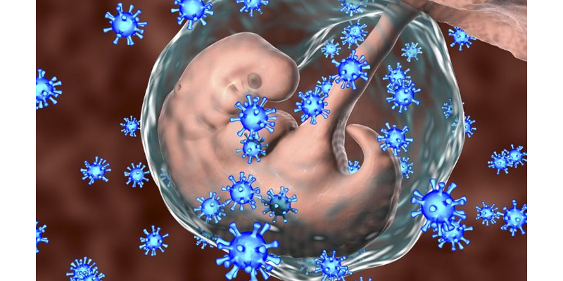 Virus viêm gan B có thể lây từ mẹ sang con