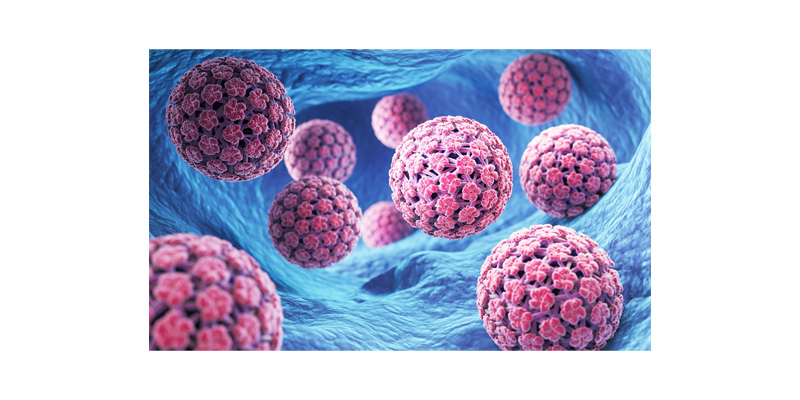 Viêm gan virus được xem là một trong những nguyên nhân hàng đầu gây tổn thương gan