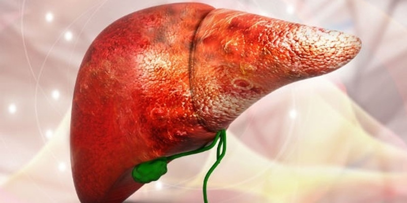Virus viêm gan B tấn công khiến gan bị tổn thương