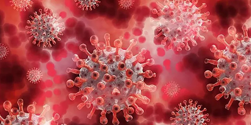 Phương pháp test nhanh IgM anti-HEV là một trong những xét nghiệm HEV