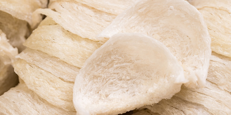 Yến sào cung cấp đầy đủ axit amin cho cơ thể