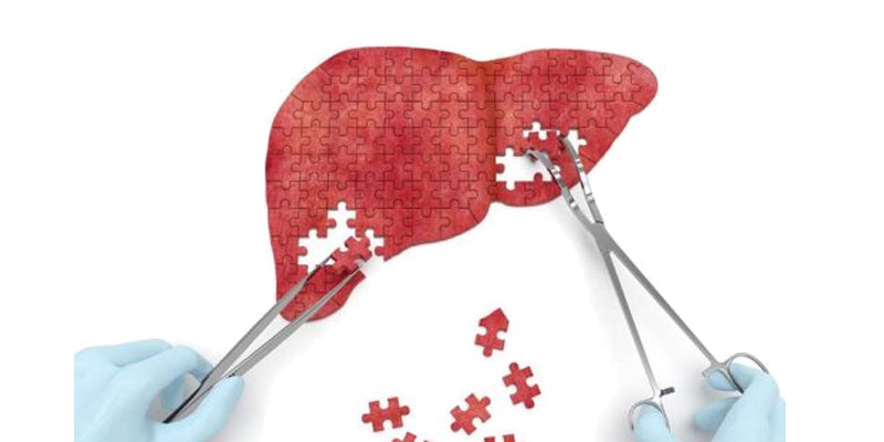 Chức năng gan khi bệnh tiến vào giai đoạn F2 trở nên yếu hơn