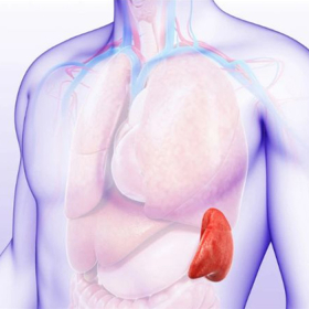 10 biến chứng xơ gan nguy hiểm bạn nên cẩn trọng