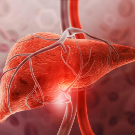 Âm gan tăng là gì? Nguyên nhân và mức độ nguy hiểm