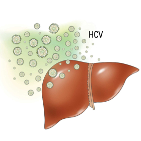 Chẩn đoán viêm gan C cấp tính: Từ triệu chứng đến xét nghiệm