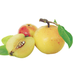 Chữa gan nhiễm mỡ bằng táo mèo liệu có hiệu quả không?