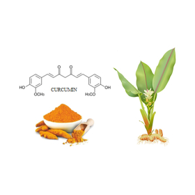 Curcumin