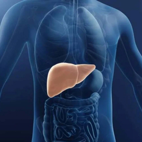 Gan nhiễm mỡ độ 3 có nguy hiểm không? Những điều bạn cần biết