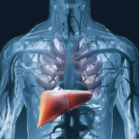 Gan thấm mỡ là gì? Nguyên nhân, triệu chứng và cách phòng ngừa