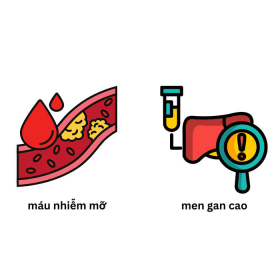 Mối quan hệ giữa máu nhiễm mỡ và men gan cao
