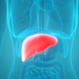 Nhiễm độc gan có nguy hiểm không? Cách điều trị và quản lý nhiễm độc gan