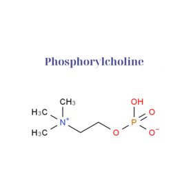 Hoạt chất Phospholipids