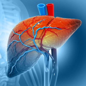 Suy gan là gì? Triệu chứng, tiên lượng và cách phòng ngừa