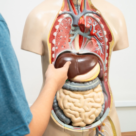 Suy gan mạn tính: Nguyên nhân, biến chứng và hướng điều trị