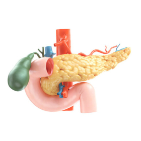 Tắc mật ngoài gan: Hiểu đúng để phát hiện sớm và tránh biến chứng nguy hiểm