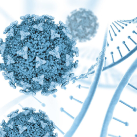 Tại sao xơ gan gây giảm tiểu cầu và những điều bạn cần biết