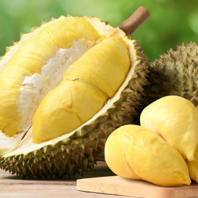 Ung thư gan ăn sầu riêng được không? Thực phẩm nào không kết hợp cùng