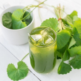 Viêm gan B uống nước rau má được không? Trường hợp không nên dùng
