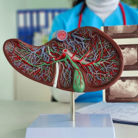 Viêm gan tự miễn: Nguyên nhân, biến chứng và hướng điều trị hiệu quả