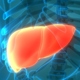 Xơ gan có nguy hiểm không? 5 dấu hiệu cảnh báo sớm