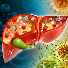 Xơ gan F4 có chữa được không? Những điều bạn cần biết